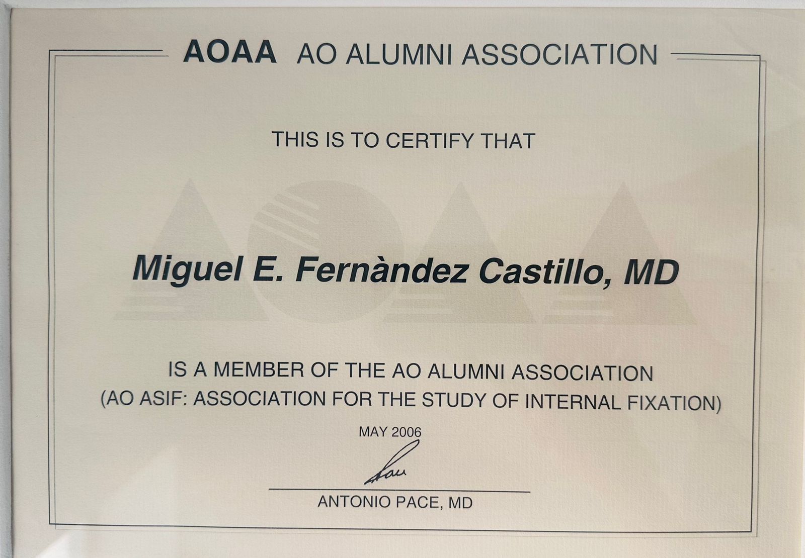 titulo-10