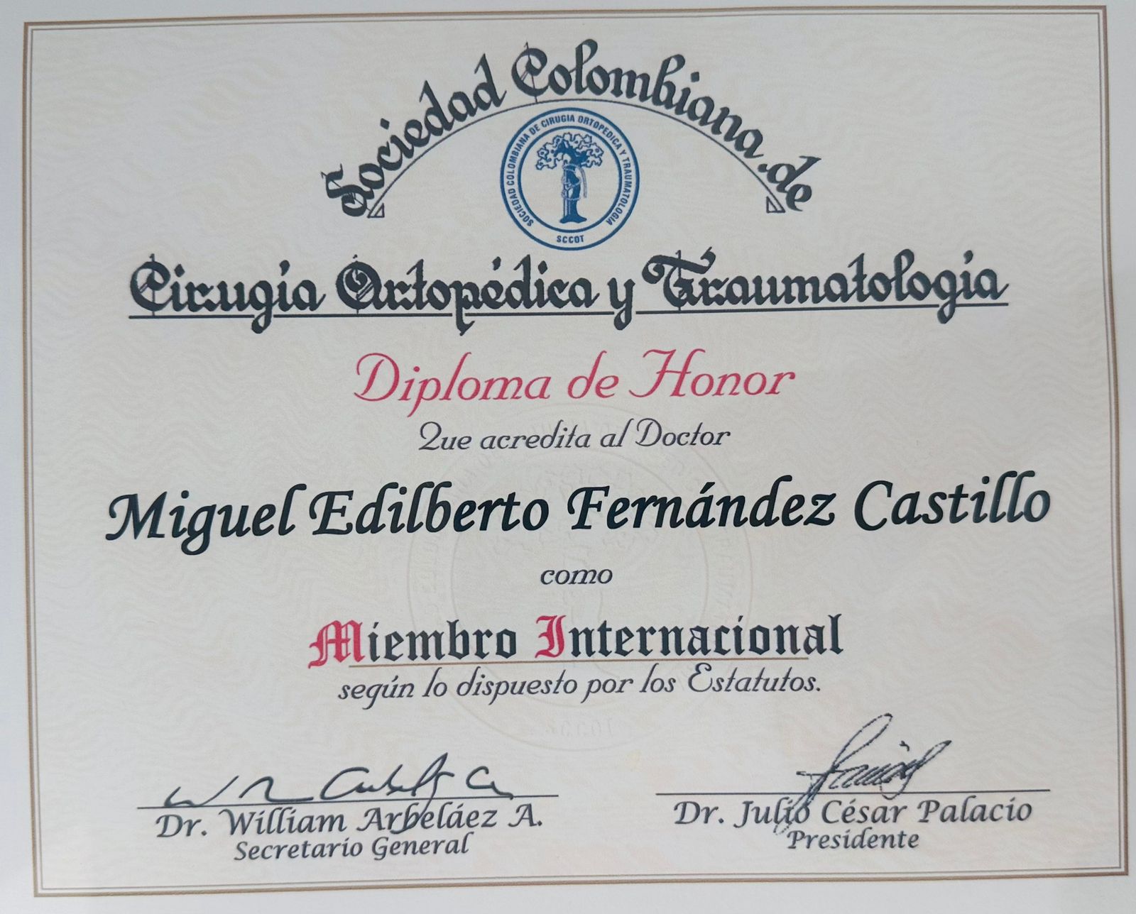titulo-8